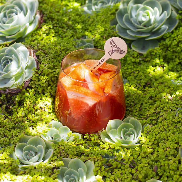 Midsummer Gin Cooler