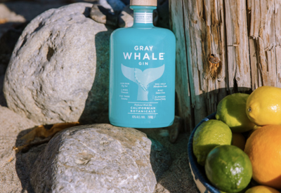 The 26 Best Gins for Any Budget