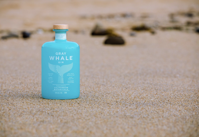 The 14 Best Gins to Drink in 2021