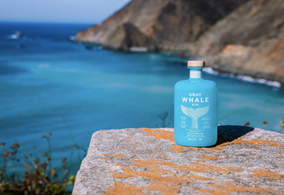 The 13 Best Bottles of Gin You Can Buy in 2021