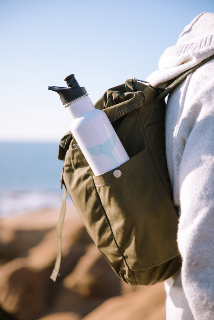 Gray Whale x Klean Kanteen Insulated Bottle