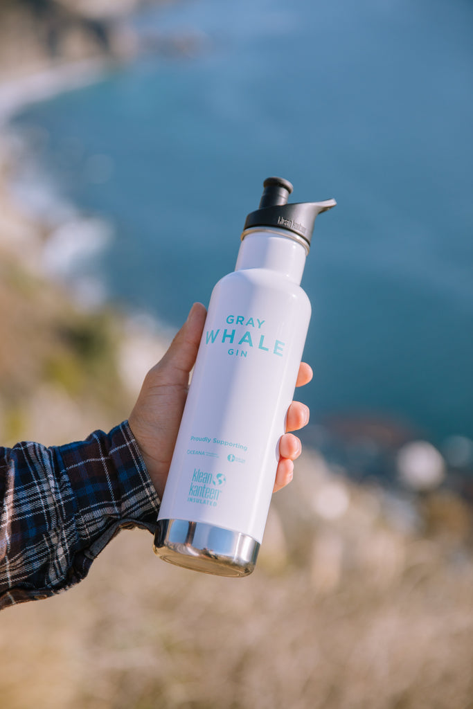 Gray Whale x Klean Kanteen Insulated Bottle