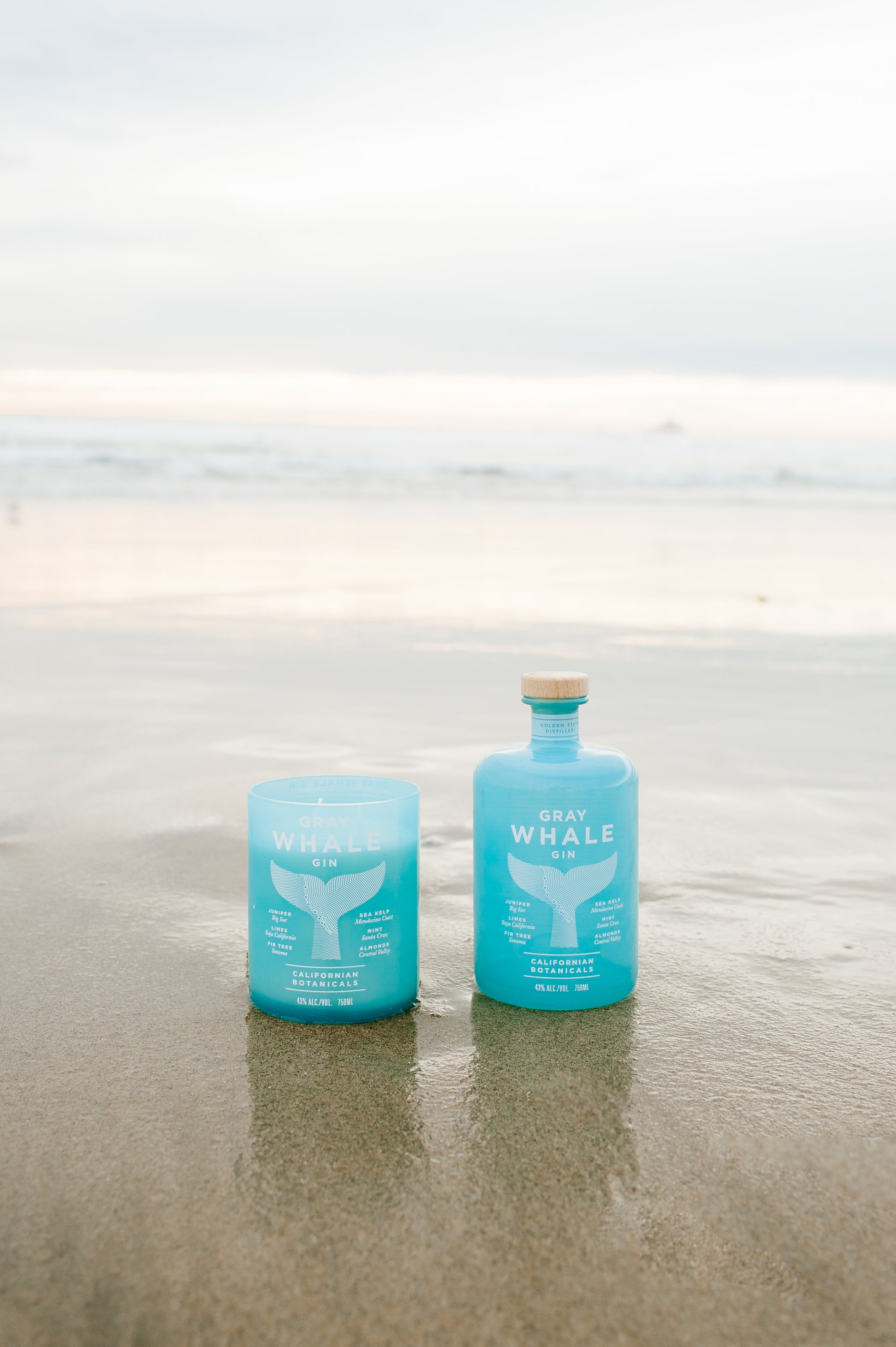 Gray Whale Soy Candle